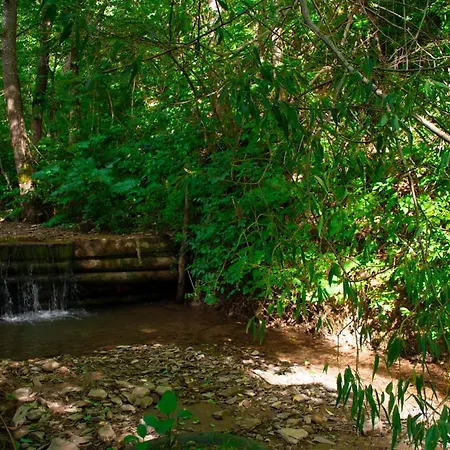 тихий куточок * Izki