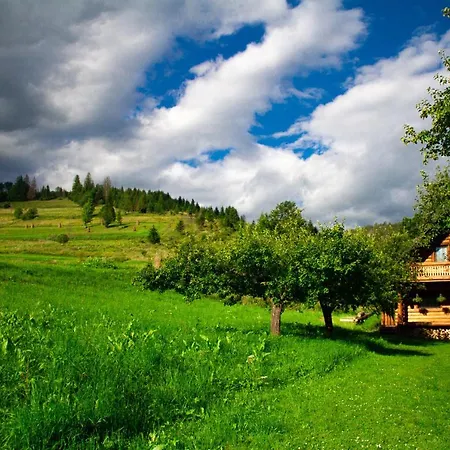 тихий куточок